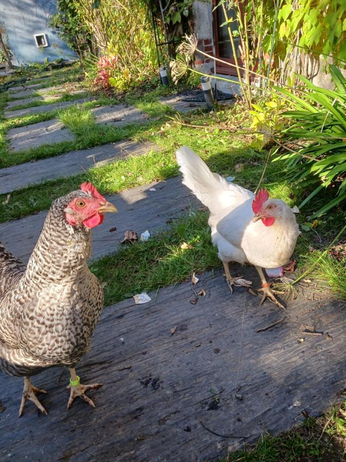 Logement Entier - Le Pigeonnier De La Plume Нант Экстерьер фото